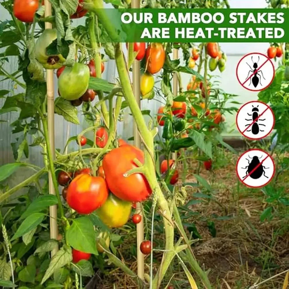 60-Pack 4ft Bamboo Plant Stakes Garden Support Climbing